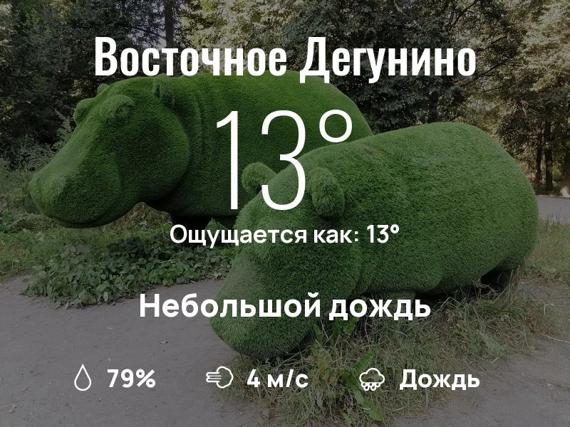 Что с погодой в Восточном Дегунино?

Одевайтесь по погоде, берегите себя!
Отличного дня, соседи!

#п
