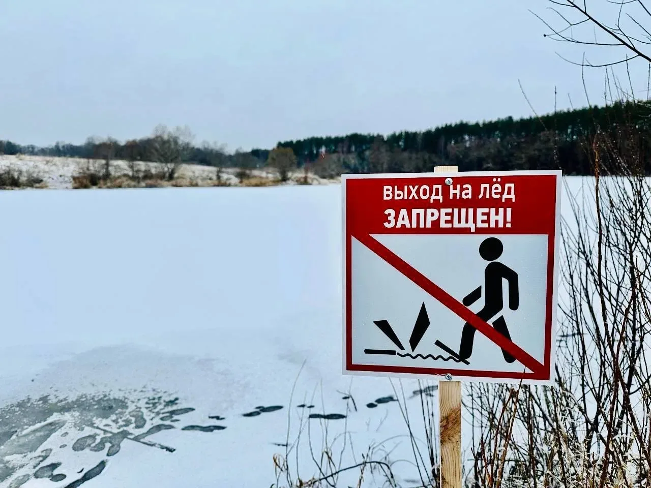 🚨Внимание! Лед на водоемах опасен

Несмотря на то, что календарная весна вступила в свои права и ус