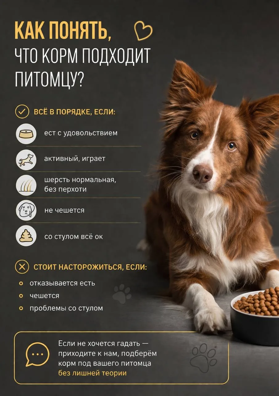 💛 Как понять, что корм подходит питомцу?

Очень просто — смотрим на базу:
✔ ест с удовольствием
✔ а