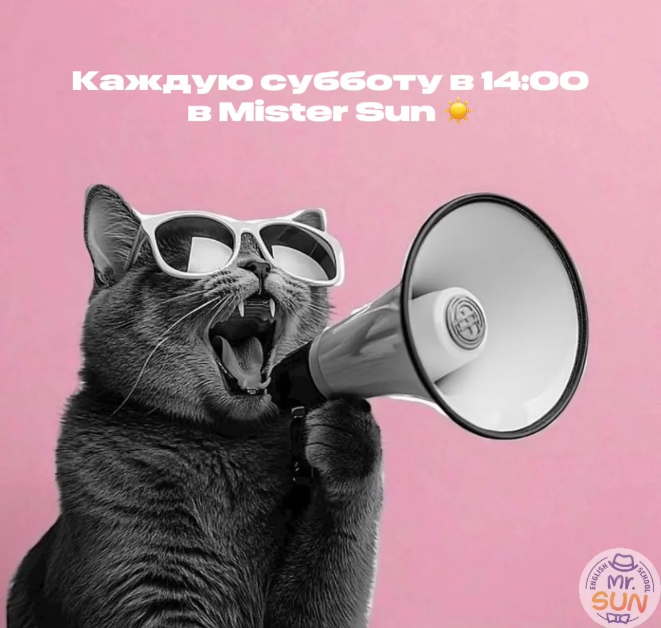 💬 Думаете, английский – только для детей?

А вот и нет! В нашей школе есть занятия и для взрослых �