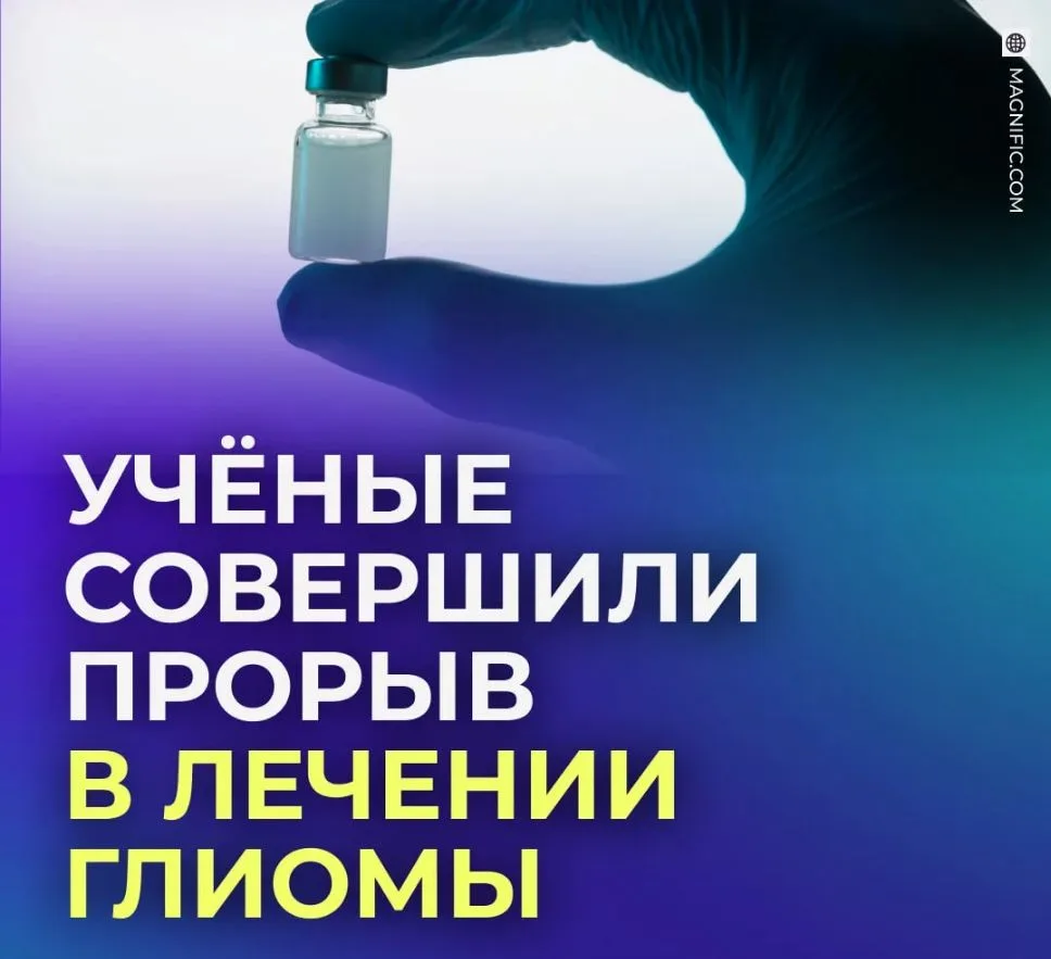 #Медицина
#Лекарство
💉 Новые препараты против опухоли мозга создали в России.

Учёные разработали и