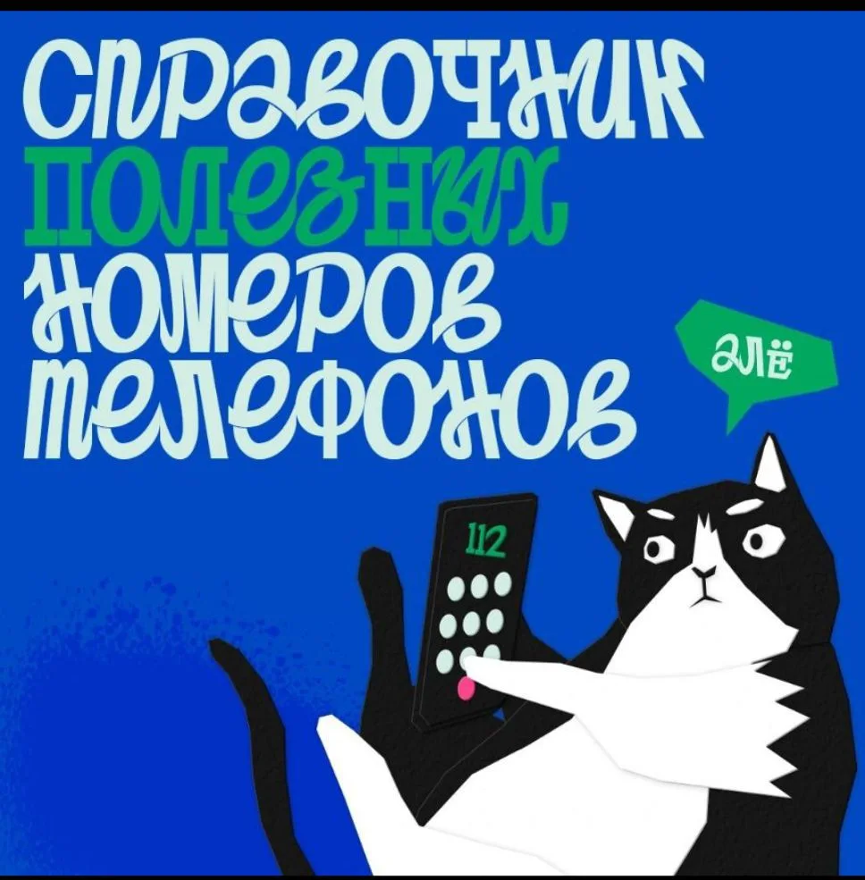 Справочник полезных номеров телефона от котика Василия) ⚠