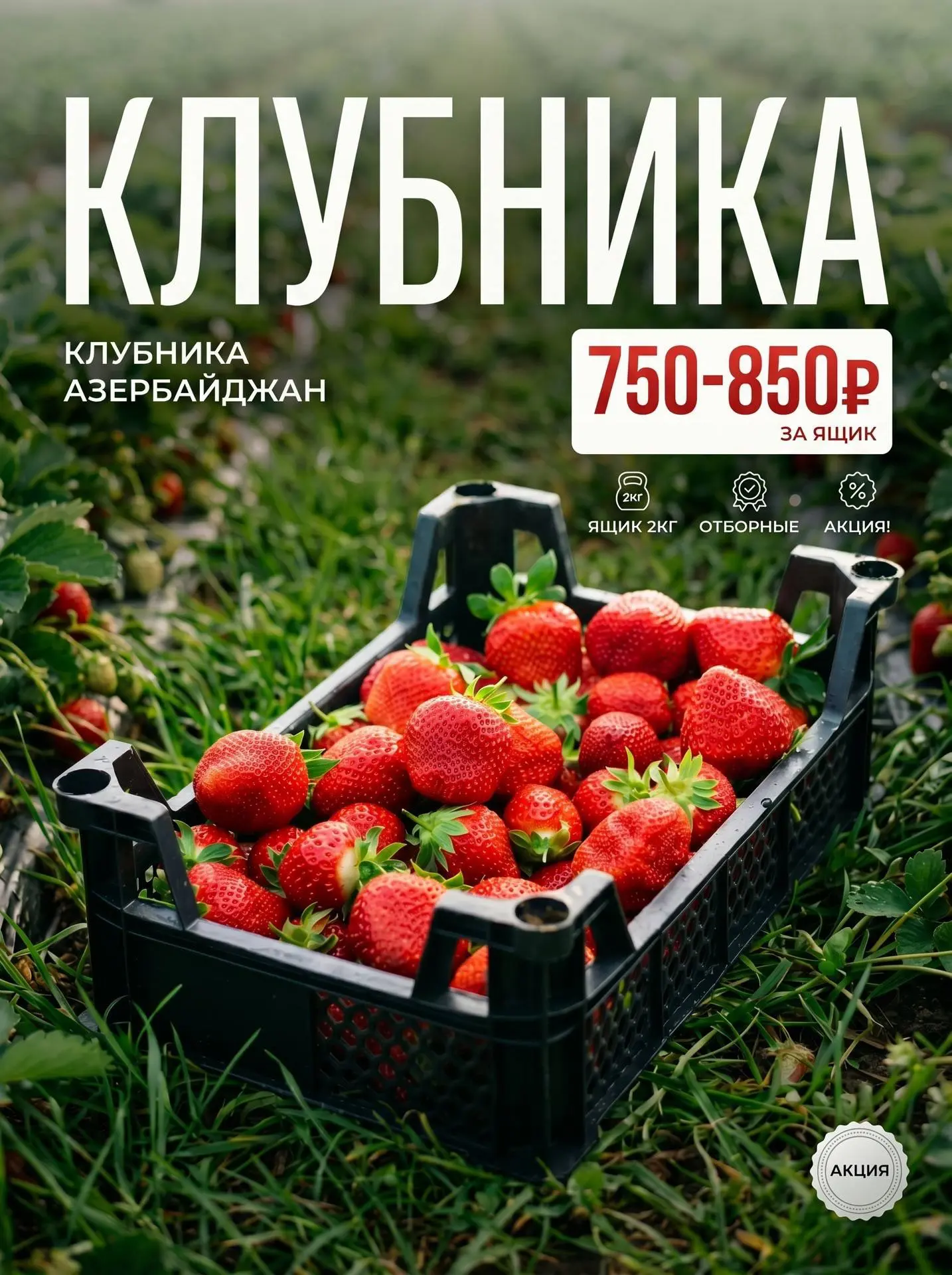 🍓КЛУБНИКА СЛАДКАЯ АЗЕРБАЙДЖАН

НОВАЯ ЦЕНА НА КЛУБНИКУ
Ящик ~ 2 кг 750₽ 

От З ящиков цена: 700₽

❗️