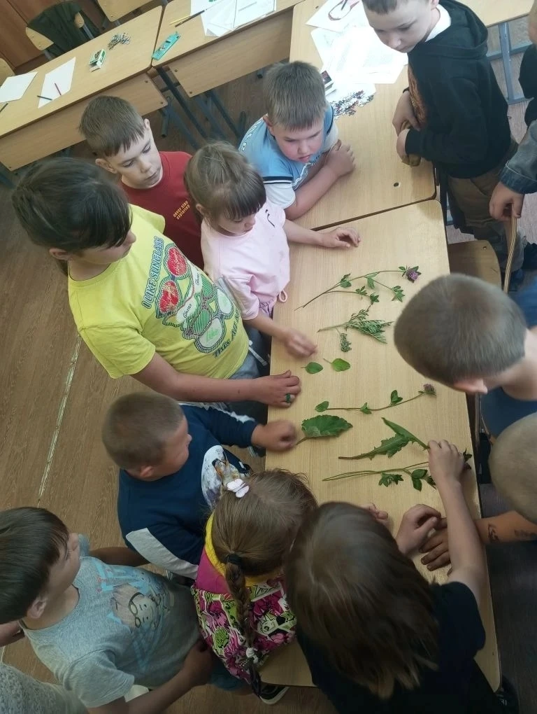 Третий день в летнем оздоровительном лагере "Солнышко" при МОУСОШ с. Вадинск выдался по-настоящему н