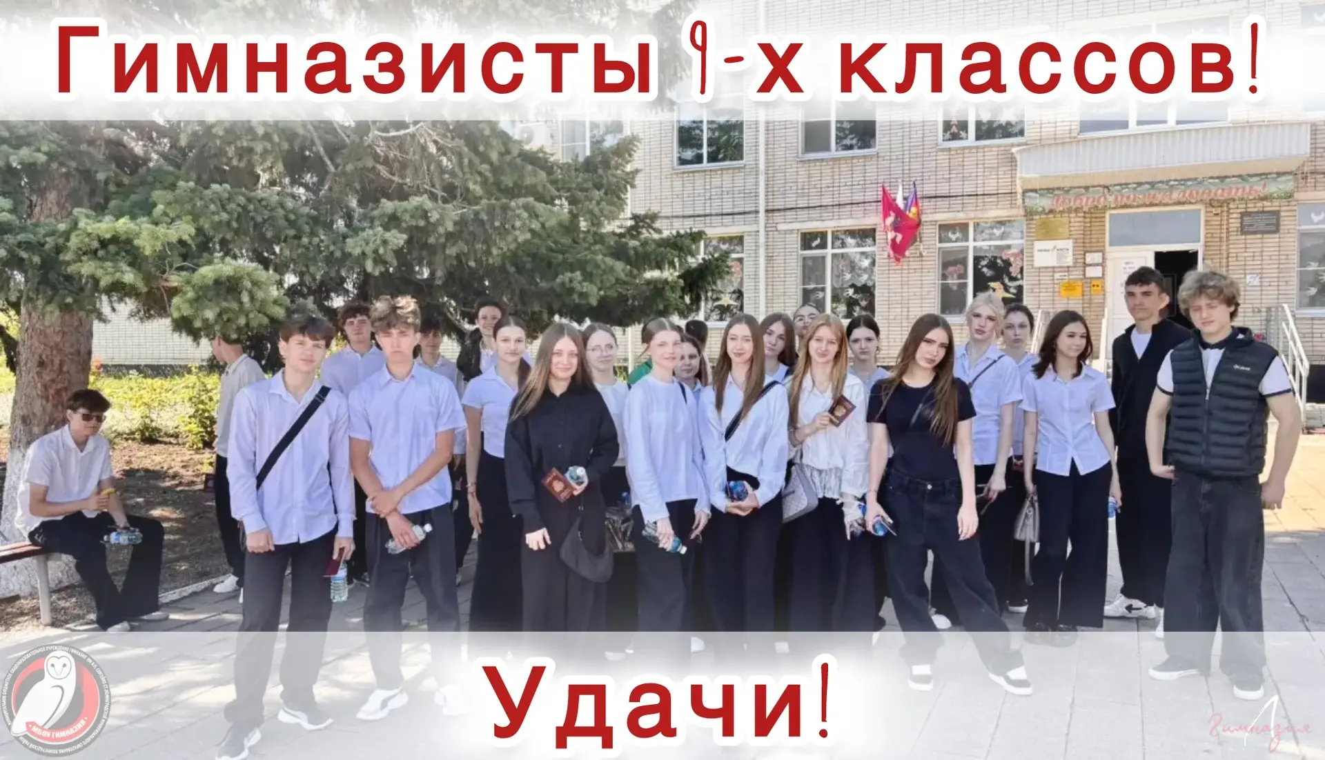 ❤️🦉✨ВНИМАНИЕ, 9-е классы! Сегодня ваш звёздный час!

Наши невероятные гимназисты выходят на финишну