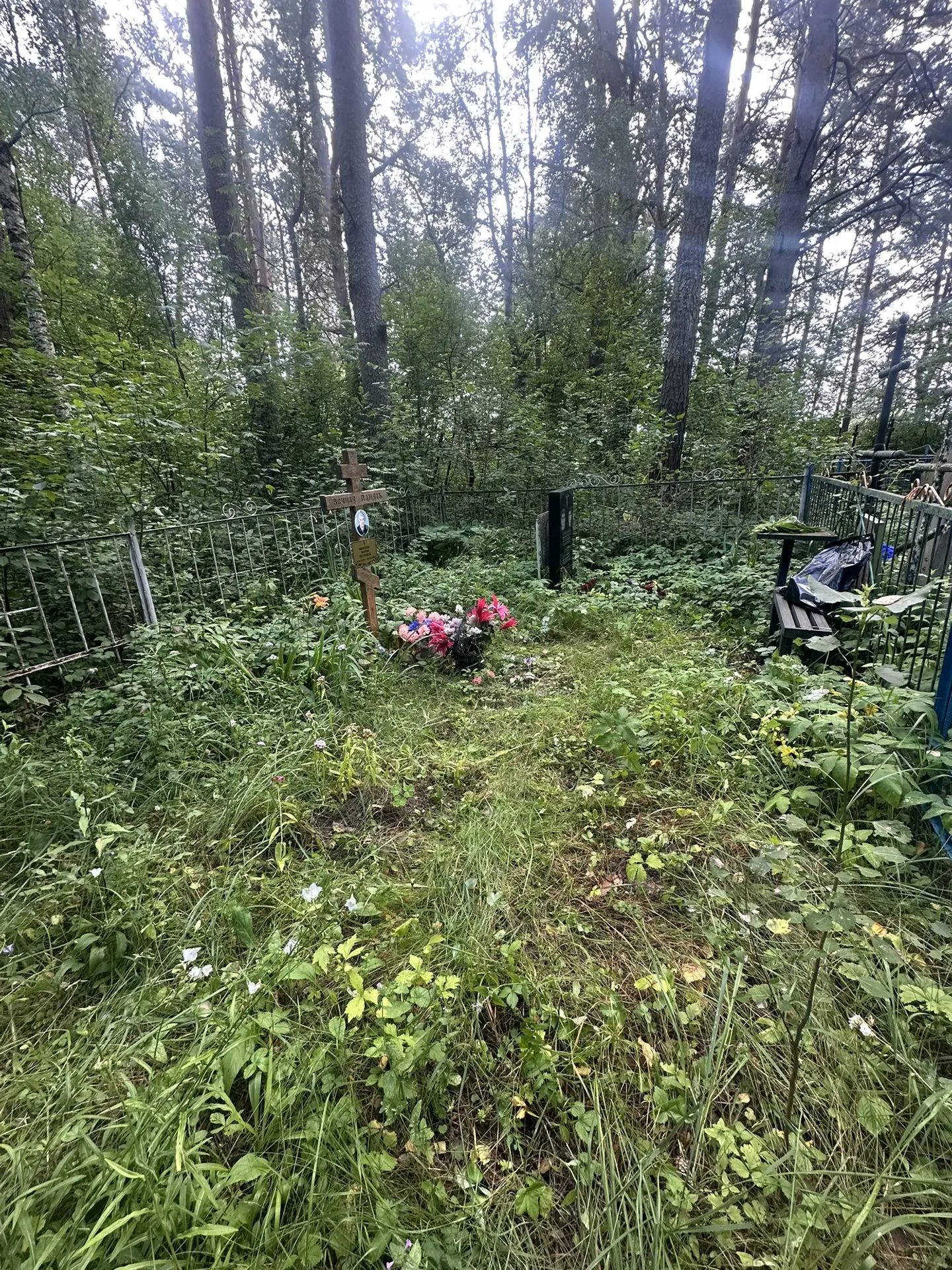 Все заросло за два месяца.

В том году краски хватило на два пролета и то не с двух сторон.

Сегодня