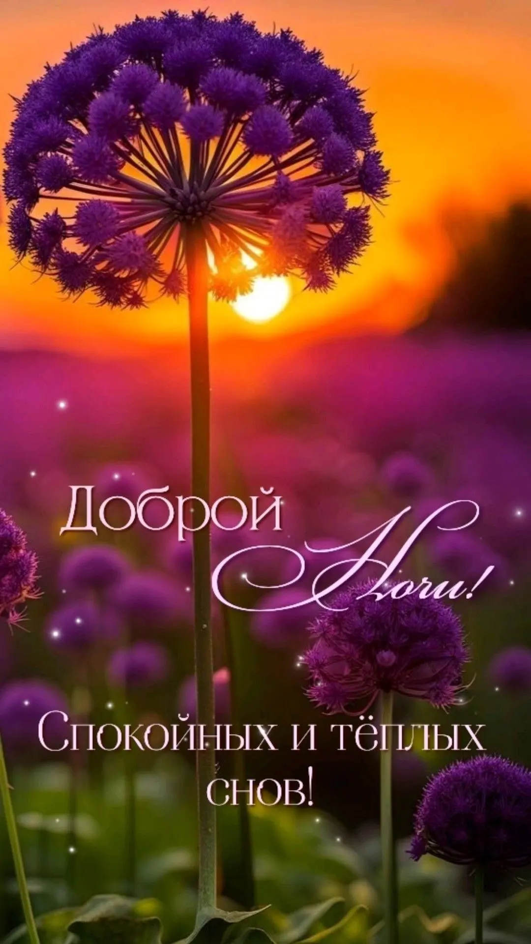 ♥️Вступить в уголок пенсионеров|👉 ВСТУПИТЬ🤗