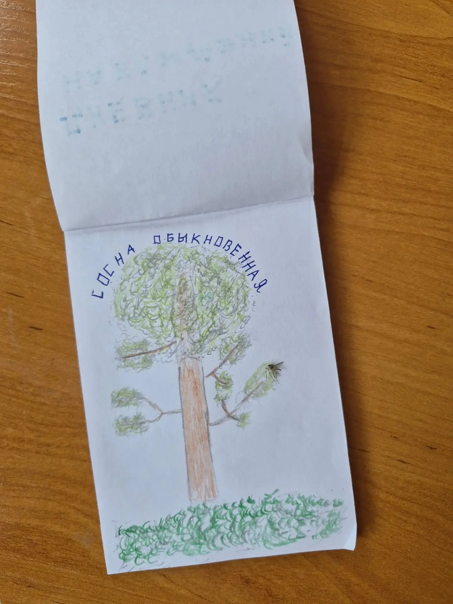 Ребята из юннатского клуба 'Юннаты Первых' сейчас в проекте «Всероссийские экспедиции». Продолжаем р
