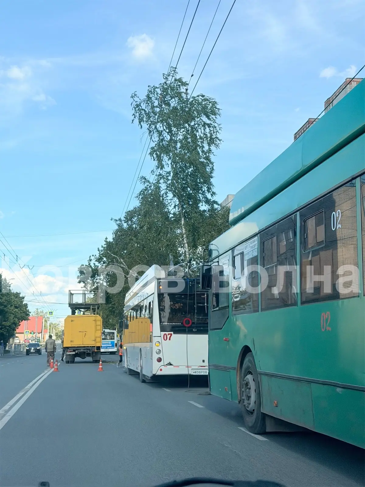 ТРОЛЛЕЙБУСЫ ВСТАЛИ! 
По маршруту номер 3⚠️‼️

Упала береза на провода! По этому маршруту будут задер