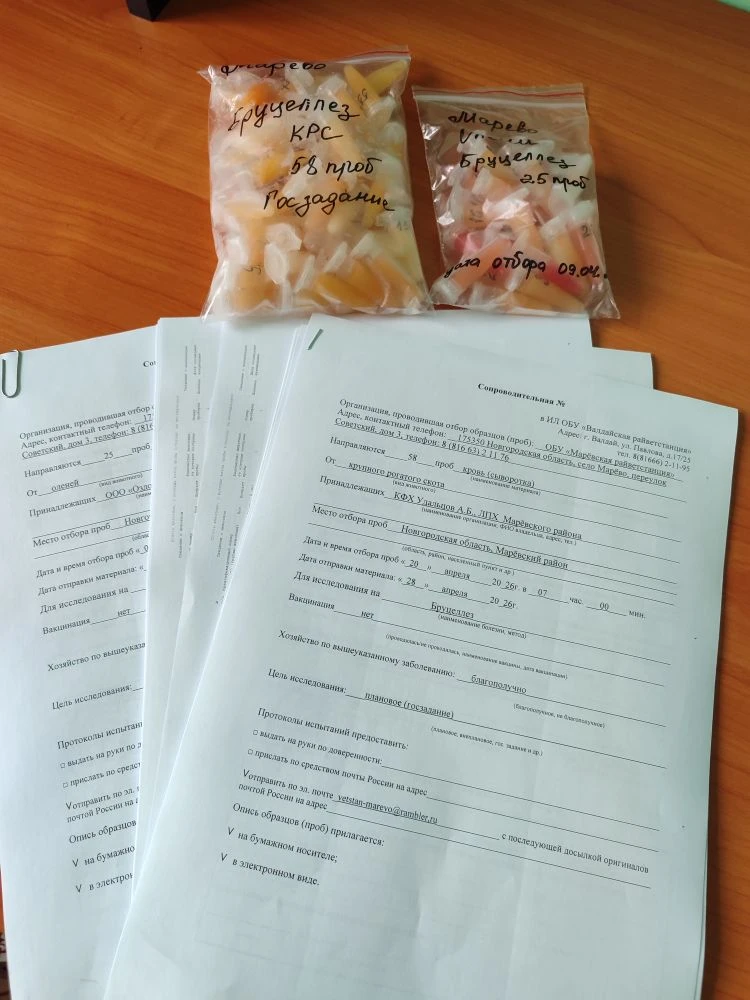 Пробы для исследования отобраны, документы оформлены, можно доставлять в лабораторию