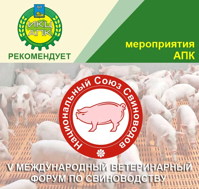 24-25 июня 2026 года в Москве состоится V Международный ветеринарный форум по свиноводству

🐷 Форум