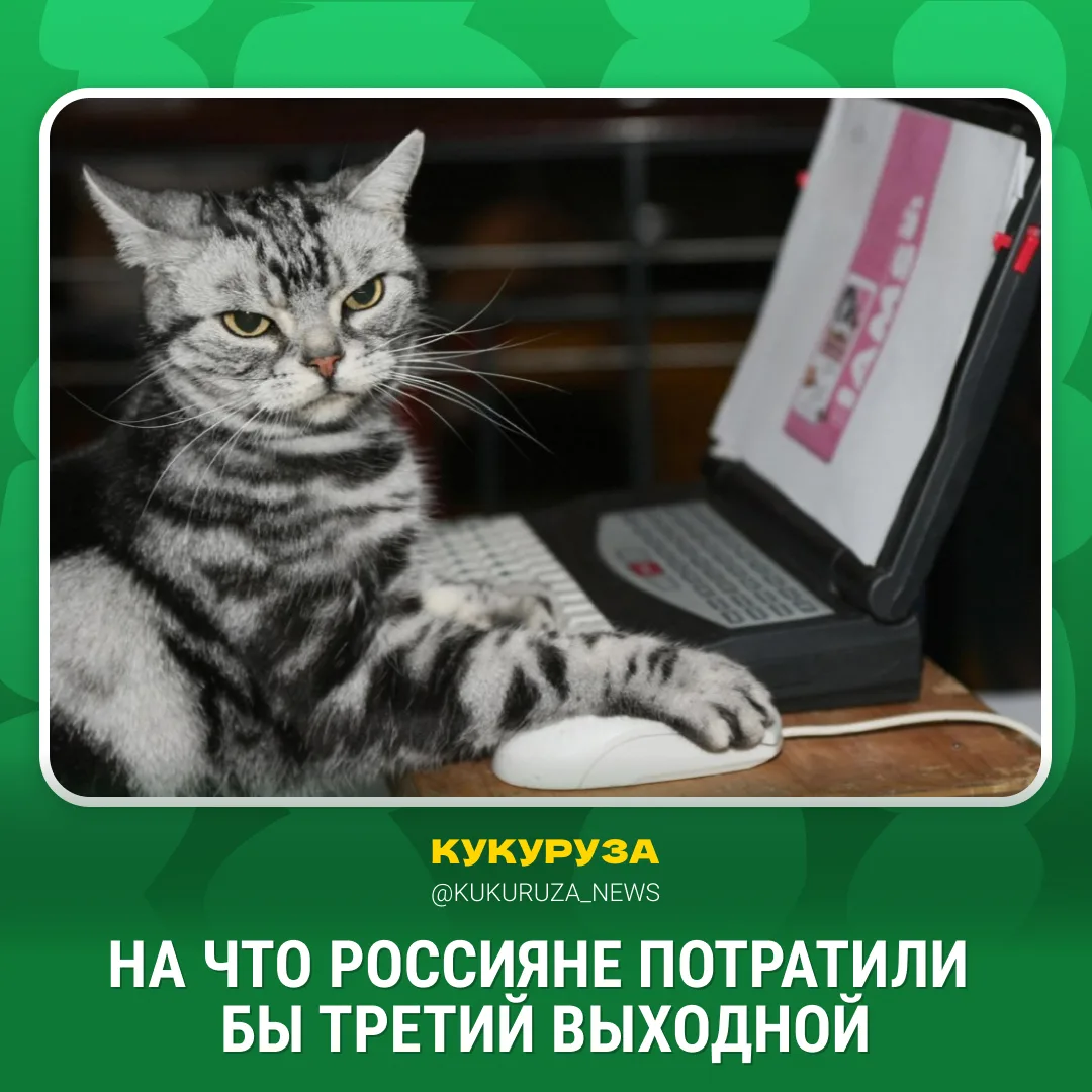 Четырехдневку поддерживаете? 

👍 — да
👎 — нет

53% работяг вас тоже поддержат. Свежая статистика п