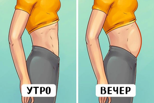 ПОЧЕМУ К ВЕЧЕРУ ЖИВОТ СТАНОВИТСЯ БОЛЬШЕ? 🌿 

Что многие отмечают про свой живот: да, утром он почти
