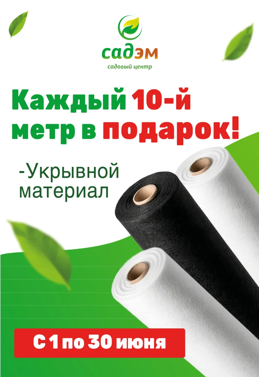 Погода в нашем регионе непредсказуема. А ваши растения готовы к её сюрпризам?

В условиях рискован
