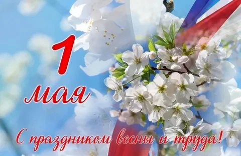Уважаемые абоненты!

«Сеть РТК» поздравляет вас с наступающим праздником Весны и Труда! 🌸🌿
Желаем 