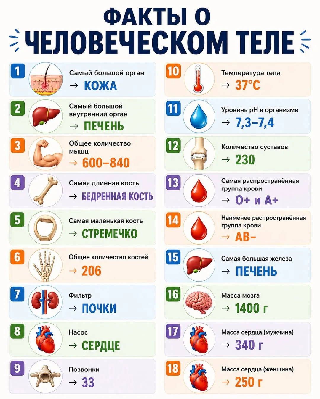 Азбука Здоровья