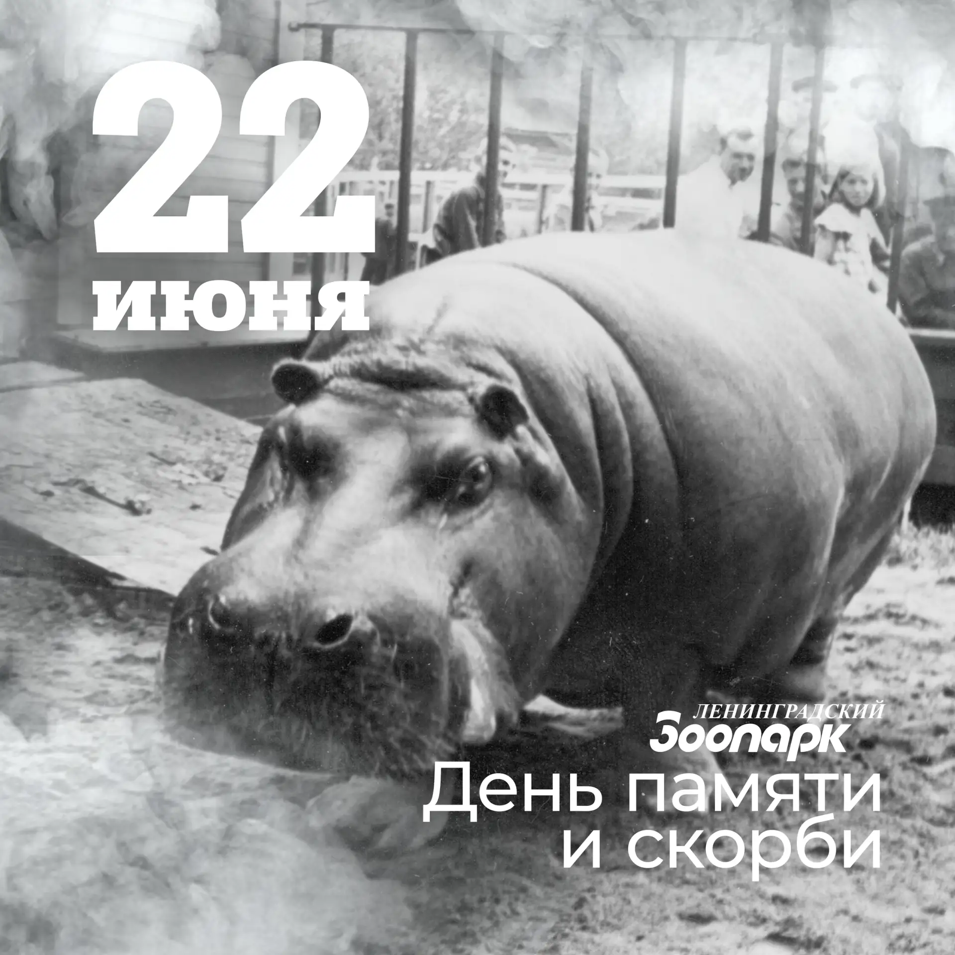 Посёлок имени Свердлова | Понтонный | Санкт-Петербург🏡

22 июня – День памяти и скорби

22 июня 194