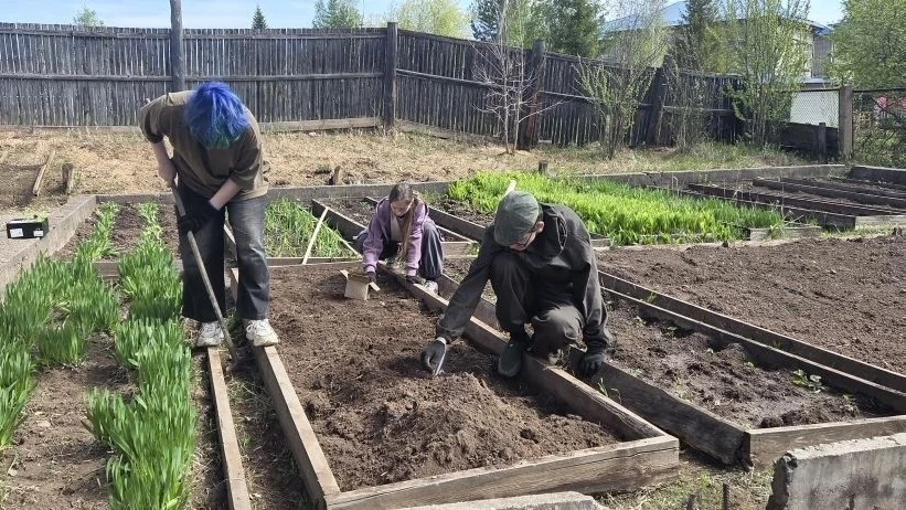 🍃🥀Наш общий дом начинается с заботы: экологический квест — от семечки до урожая! 
 
Вы замечали, ч
