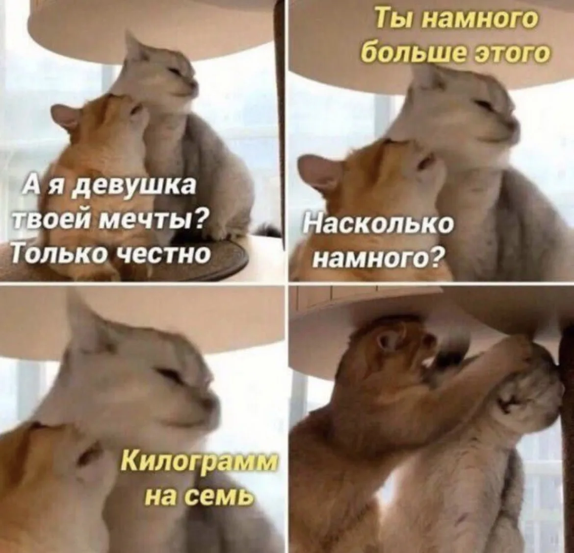 Настроение летнее