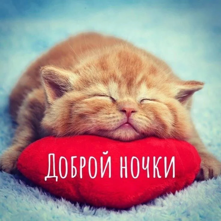 Открытки в ТГ
Открытки в МАХ
