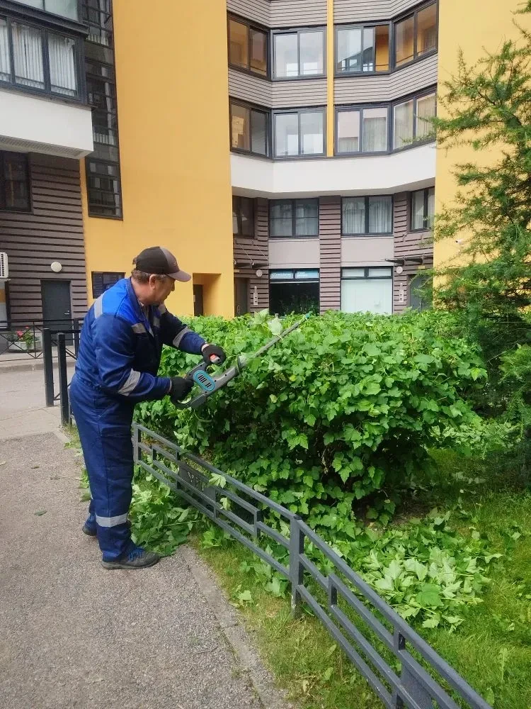 🌱Проводим уборку и подстригаем кусты.