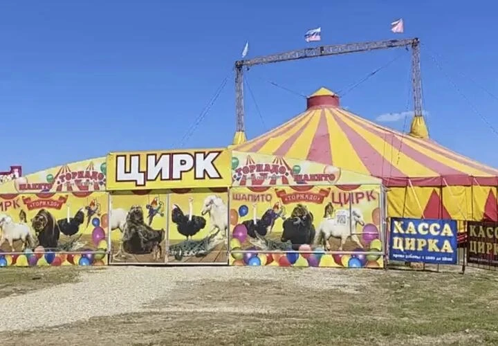 На Кубани "заминировали" цирк. Отец семейства разозлился на охранника и решил испортить всем отдых

