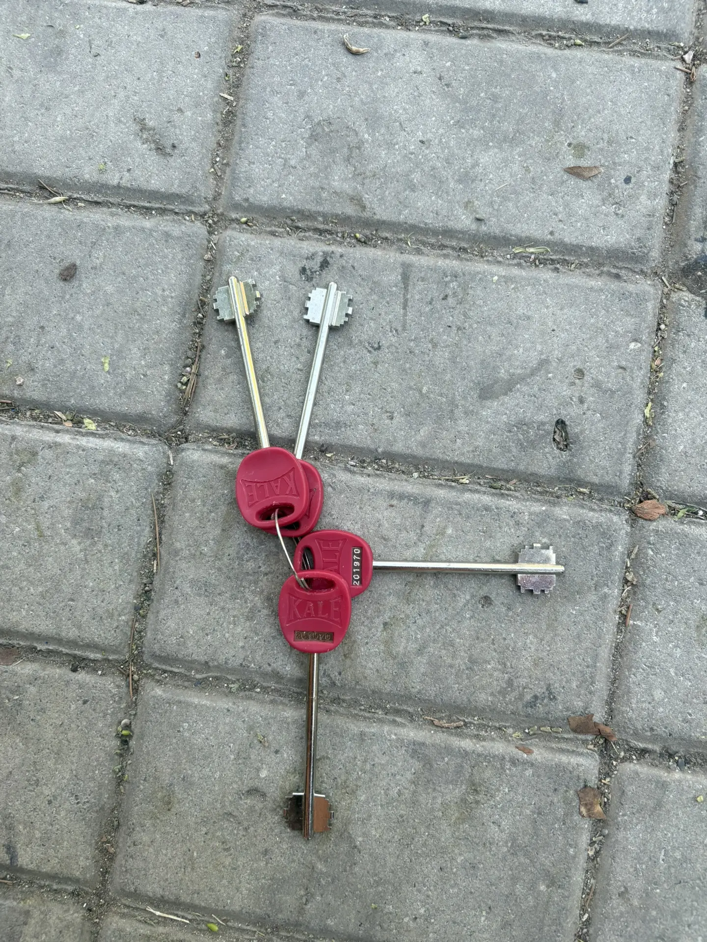 В Дино парке найдены ключи чьи пишите а лс