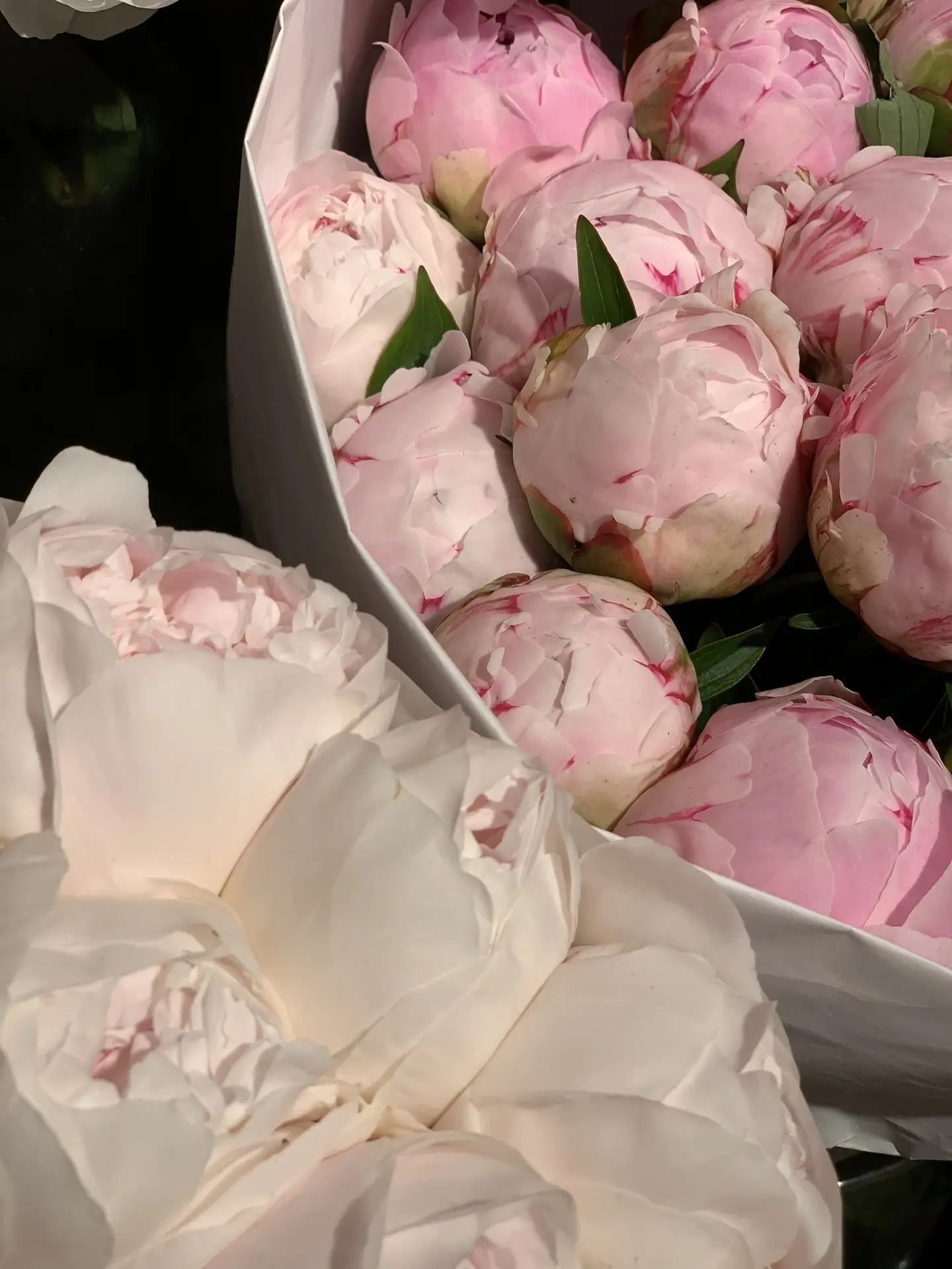 Доброе цветочное утро🌸
Красивая эстетика, вчерашней поставки 💔🌿

Заказывайте цветы в Цветут Цветы