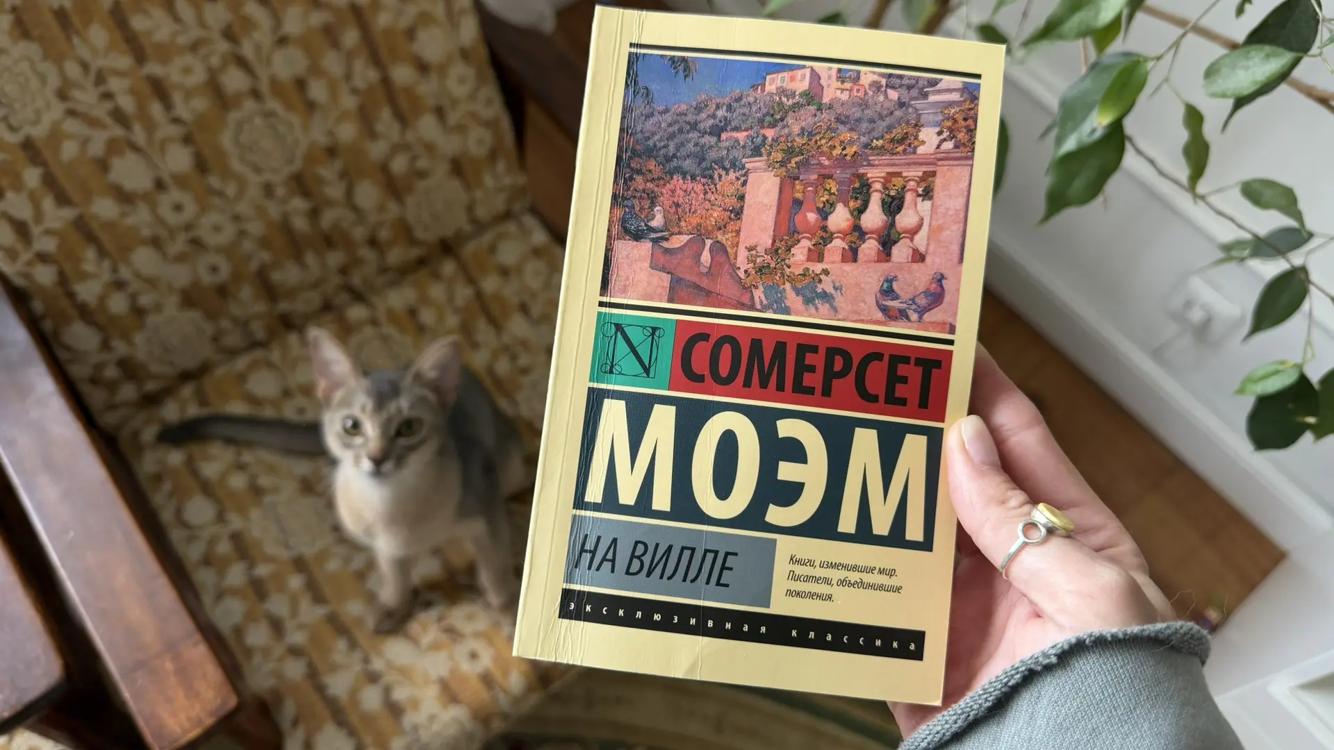 точно последняя в этом мае 

Италия 🇮🇹 30-х годов, любовь и женщина вытворяющая

когда устанете от