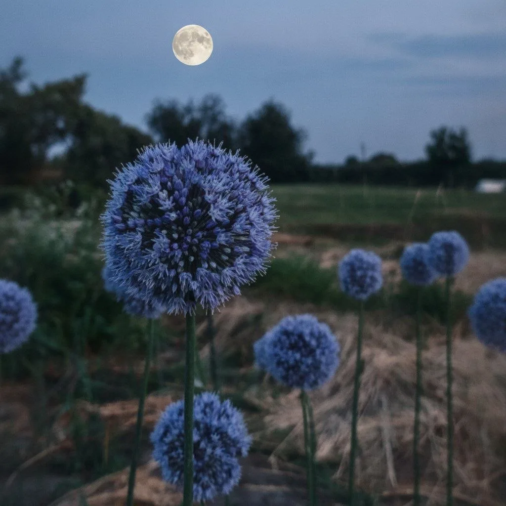 🌕 ПОЛНОЛУНИЕ
Как я люблю эти периоды! В них огромное количество энергии. Для полноты и потом для за