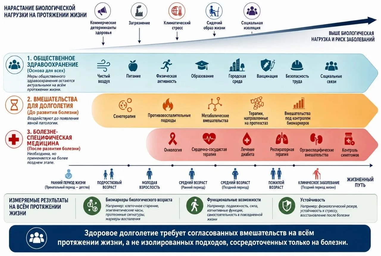 ↩️ Переслано от: **Путь долгожителя**
ДОЛГОЛЕТИЕ НУЖНО ВСТРАИВАТЬ В СИСТЕМУ ЗДРАВООХРАНЕНИЯ

В редак
