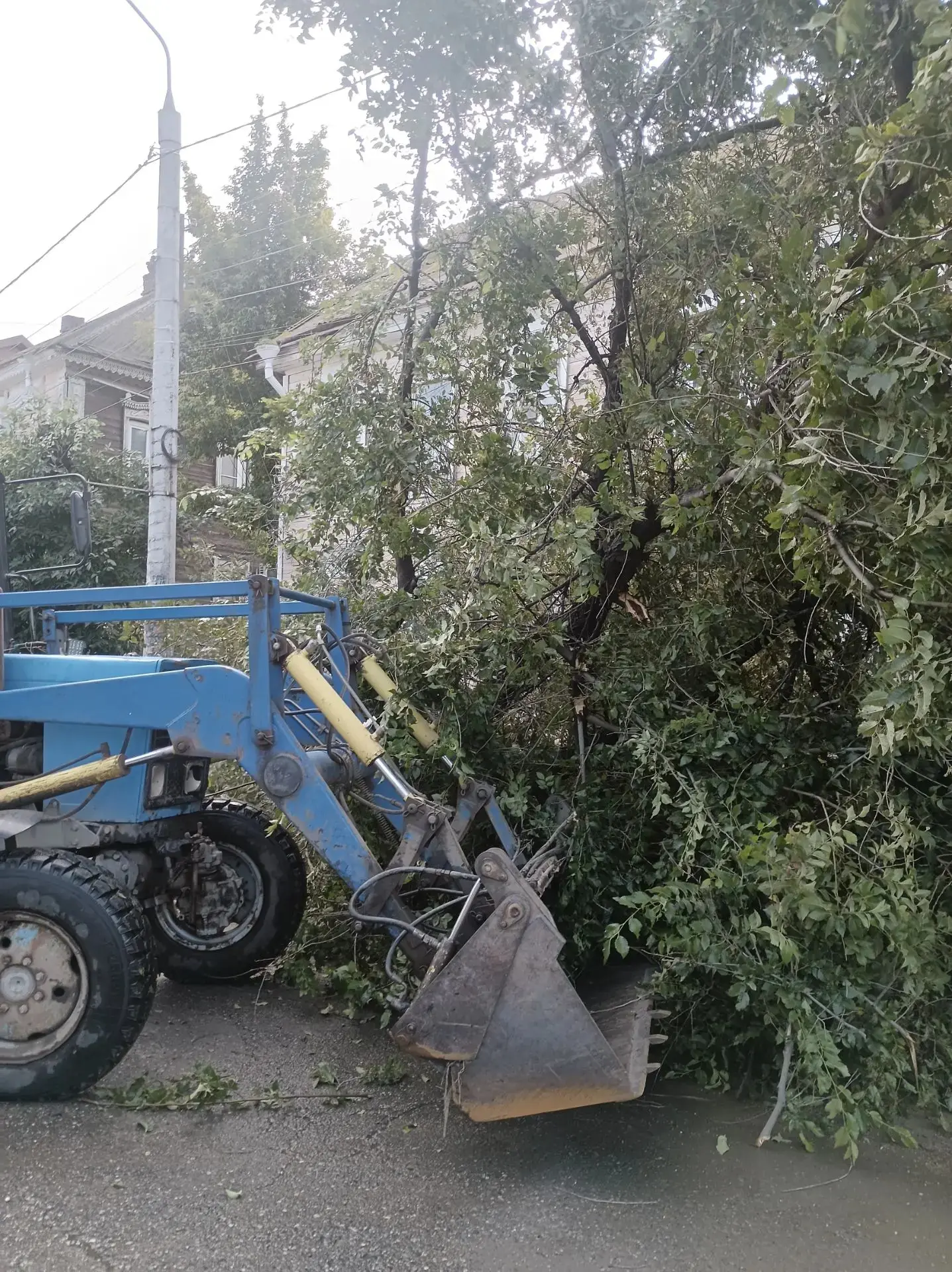 Городские спасатели и сотрудники МБУ г. Астрахани "Зеленый город" убрали упавшее дерево

Сегодня утр