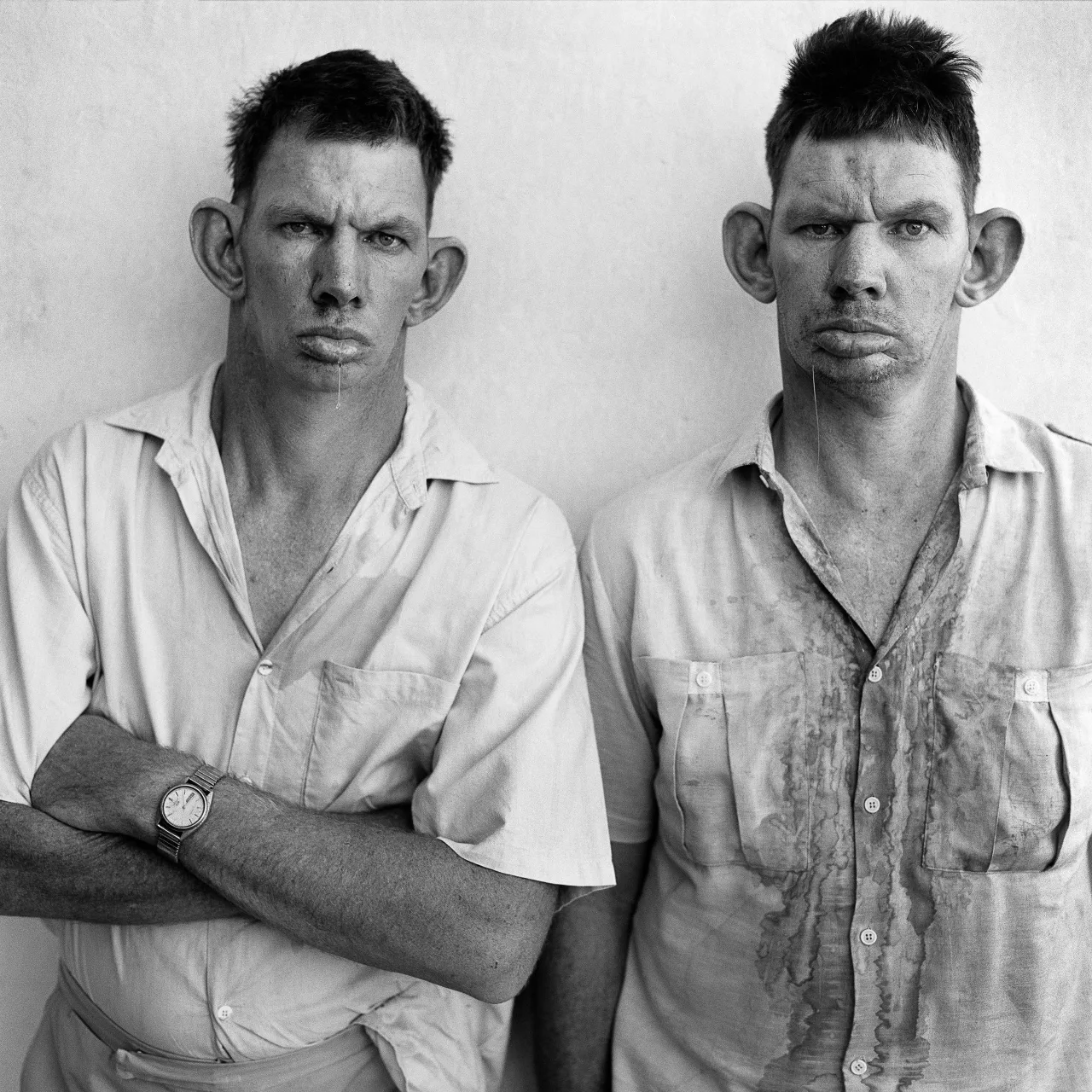 “Дризи и Кэзи”, 1993

Одна из самых известных фотографий Роджера Баллена появилась в его третьем аль