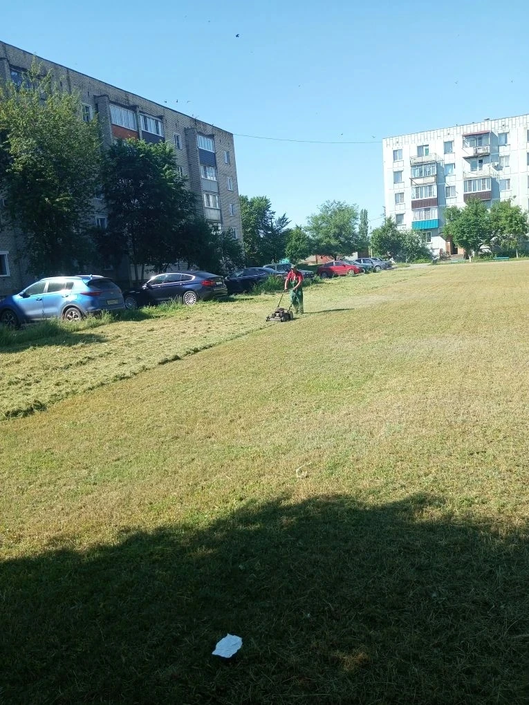 Покос травы ул.Заводская д. 46, 46а