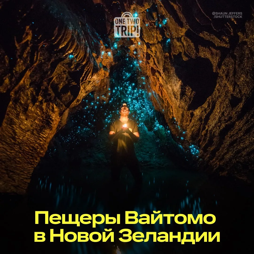 Мы что, в планетарии? 🌌
 
А вот и нет: это известняковые пещеры Вайтомо в Новой Зеландии. 
 
⭐️ Гла
