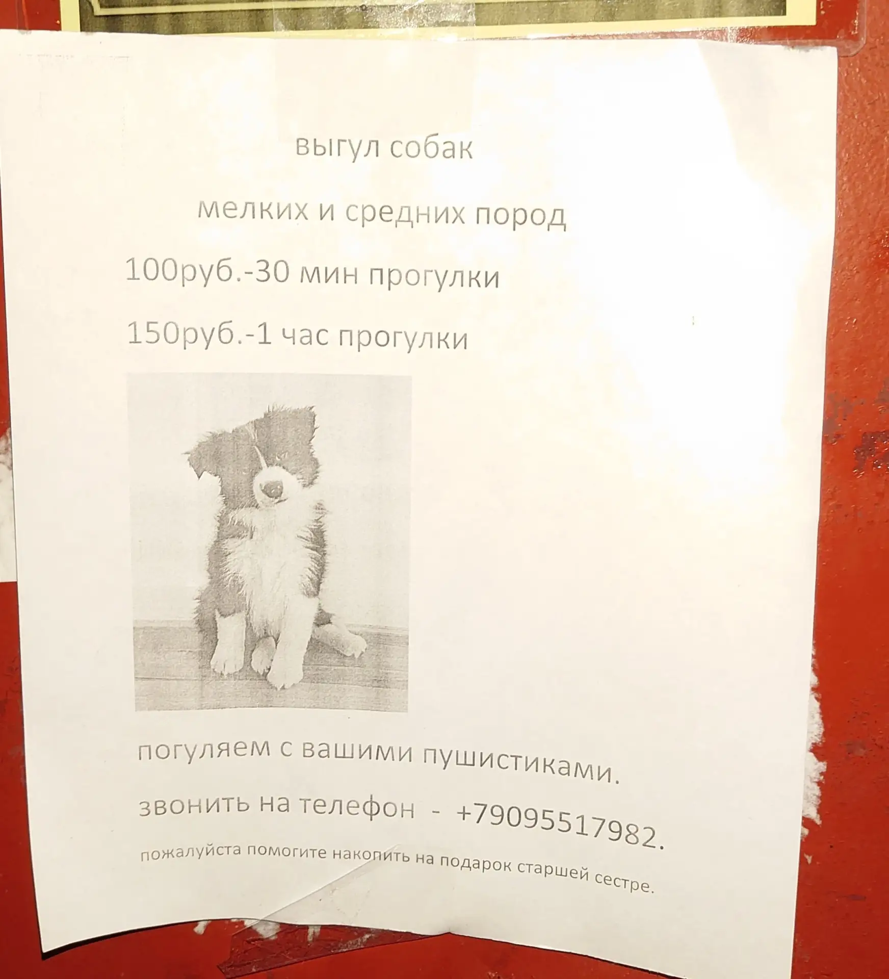 #услуги@mp29rus