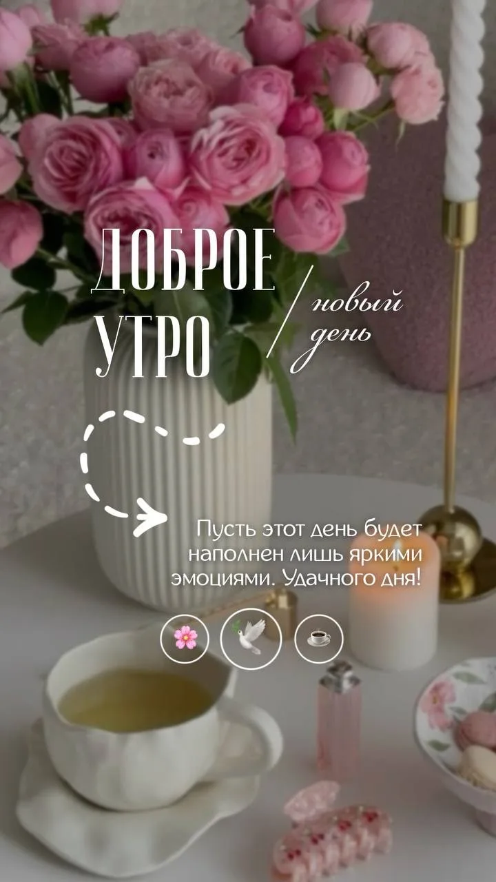 ☀️Хорошего дня!