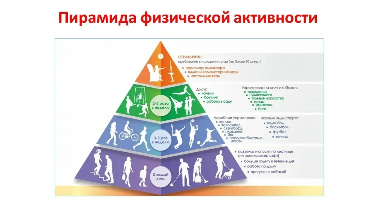 Неделя ЗОЖ: польза физической активности