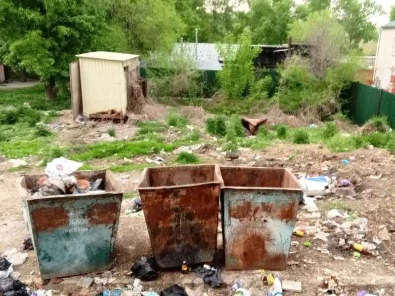 «Ароматное» дело: вопросом сброса отходов жизнедеятельности в баки для ТКО займется полиция

Жители 