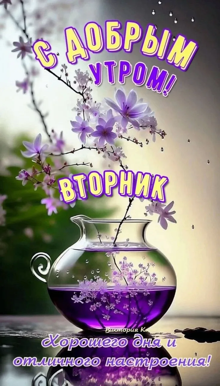 🥰 Ставьте реакции и делитесь открыткой с близкими ❤️

💌 Лучшие Открытки в MAX! 👉 Подписаться