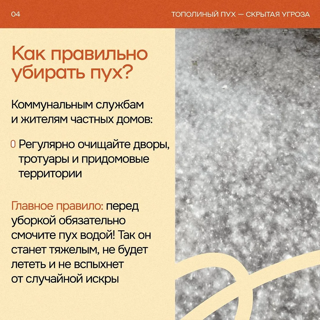 ❗️Тополиный пух, жара, июнь

Свердловская область стала похожа на заснеженное королевство, но укрыла
