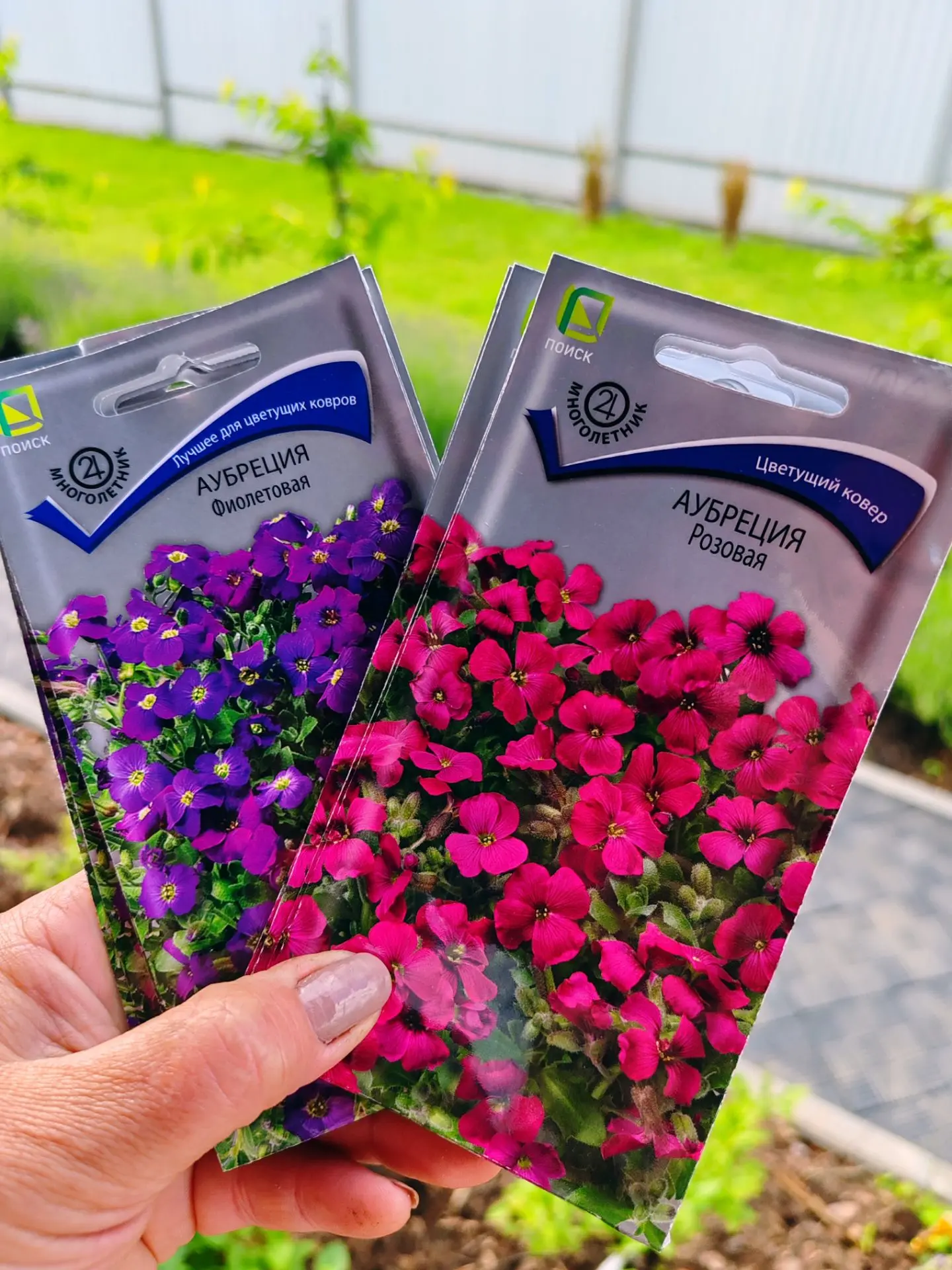 🌿 Хватит скучать по газону! Этот цветок прощает даже ленивых (честно).

Друзья-садоводы, дачники и 