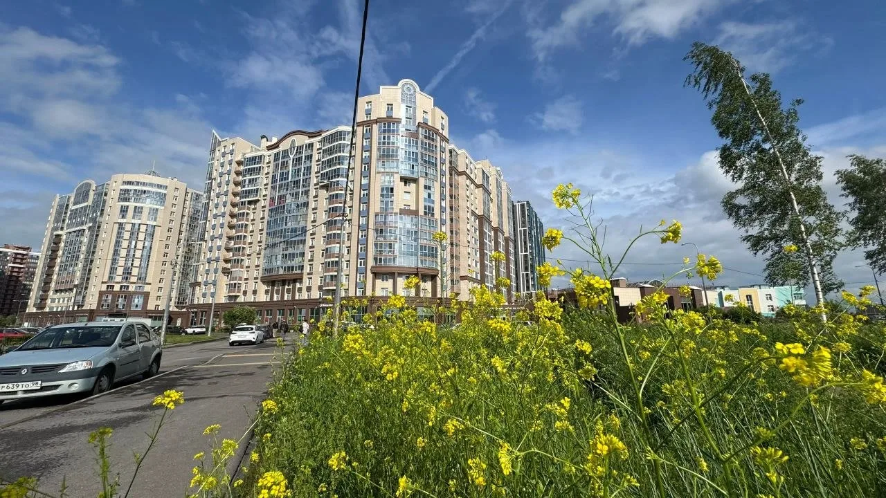 В квартале Полюстрово 24-27 устранят недочеты благоустройства после жалоб жителей

Глава района Миха