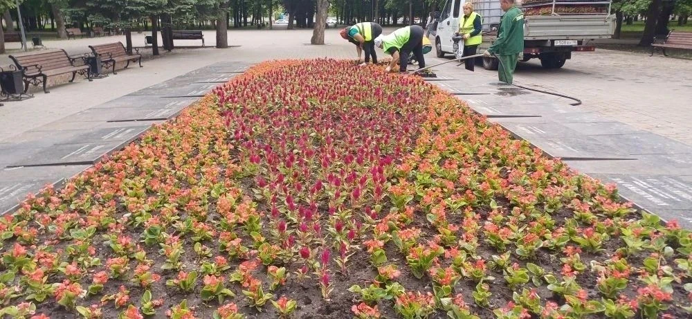 Подрядчики комитета городского хозяйства трудятся в городских парках и скверах. 

В Курске обществен