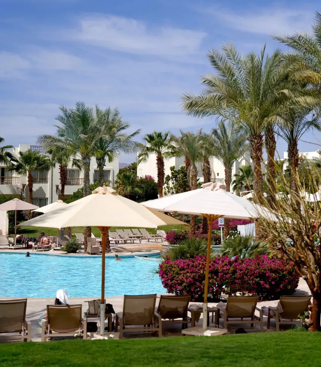 📍Swissotel Sharm El Sheikh 5*

Качественный отель в Шарме

Swissotel Sharm El Sheikh 5* находится п