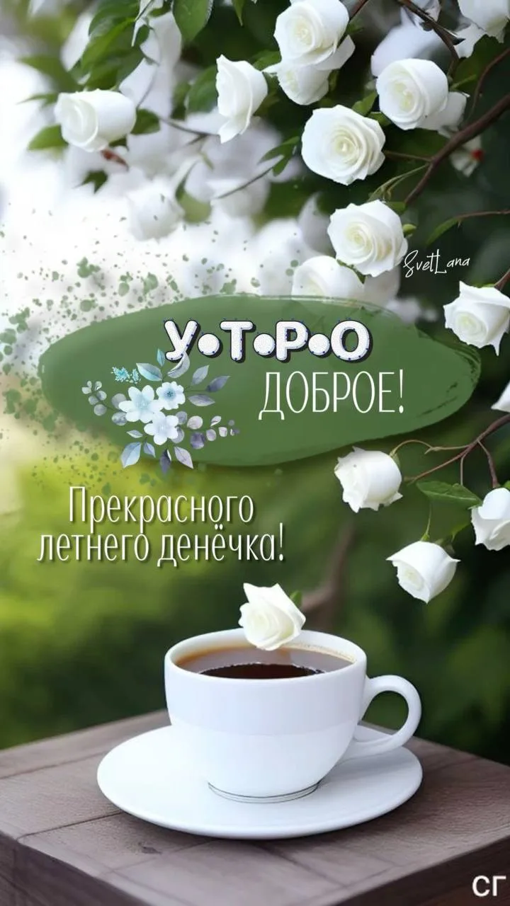 Галерея Открыток