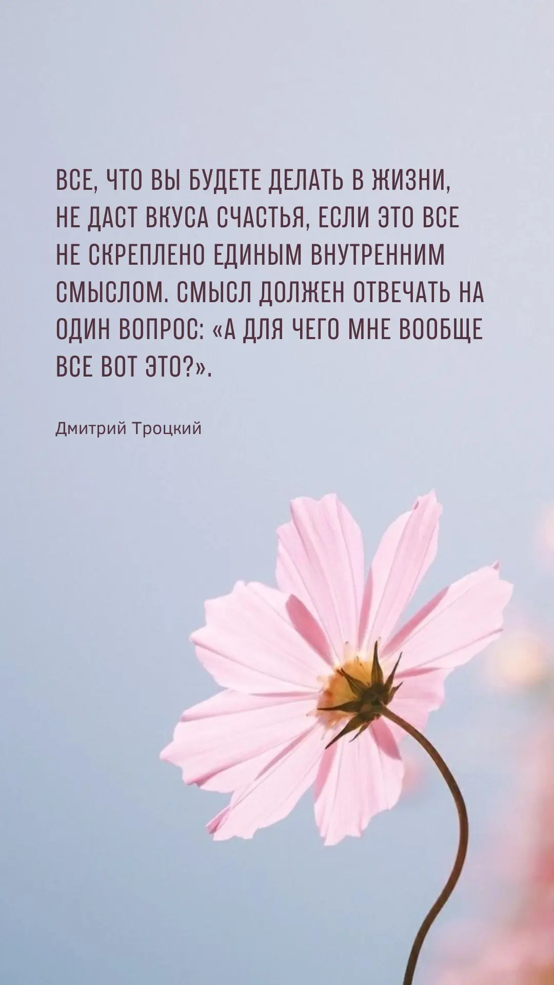 Все, что вы будете делать в жизни, не даст вкуса счастья, если это все не скреплено единым внутренни