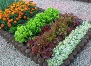 🌼 В Пермских электричках дачный сезон стартует 30 апреля: наши сотрудники в ключевых кассах Пермско