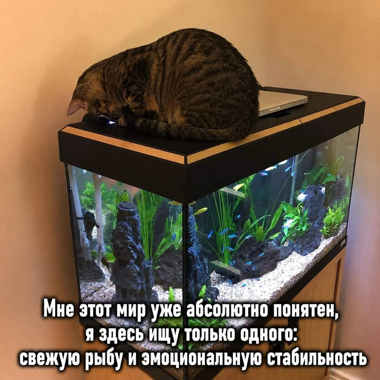🧘‍♀️ Мир понятен, план тоже

Врываемся в новую неделю спокойно: без лишней суеты, но с понятным кур