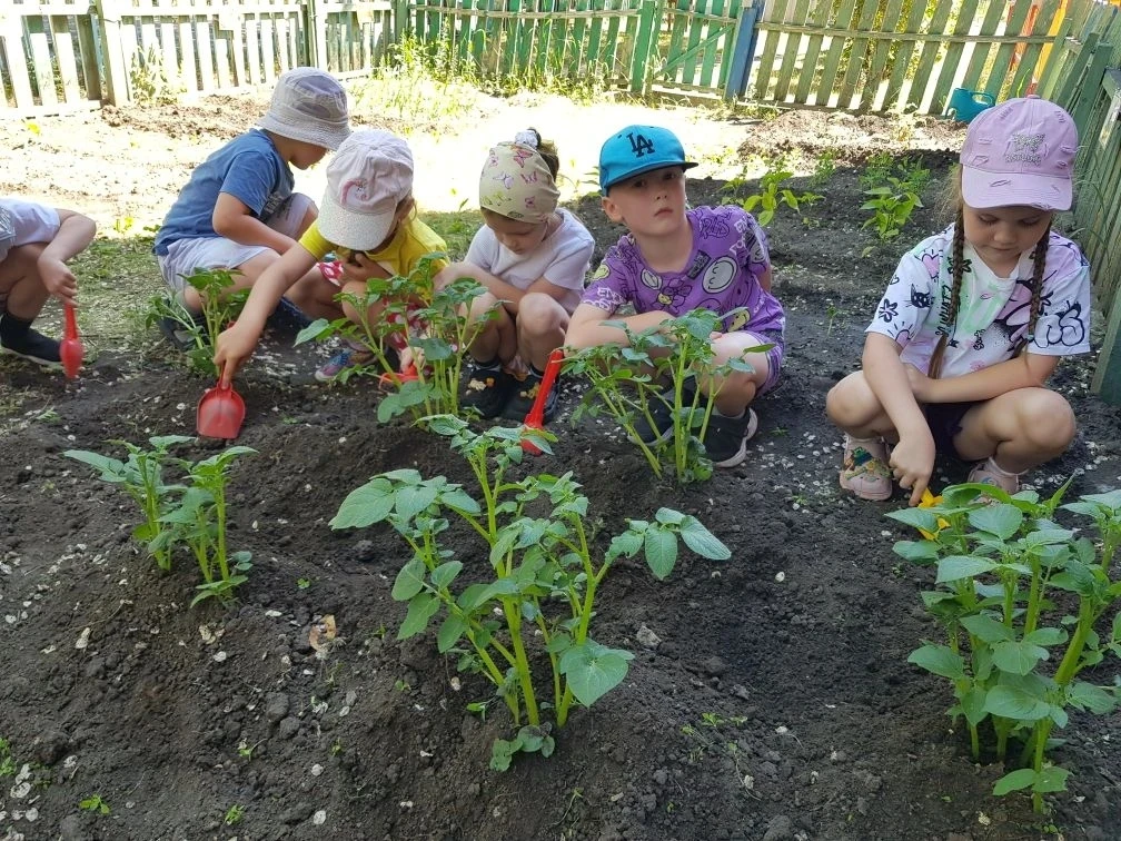 🥔Есть у нас огород - там картошечка растёт!

Вроде бы совсем недавно, ребята группы №13 сажали карт